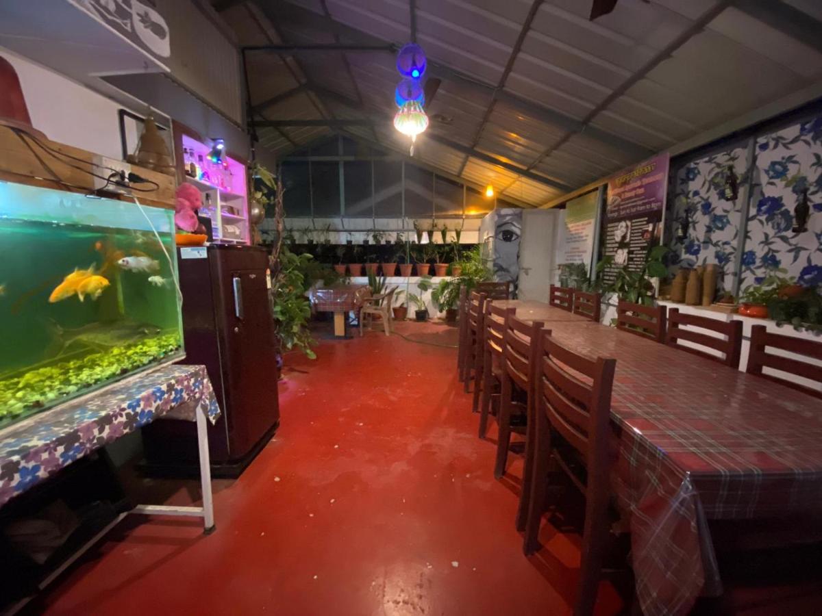Gloria Homestay Kochi エクステリア 写真
